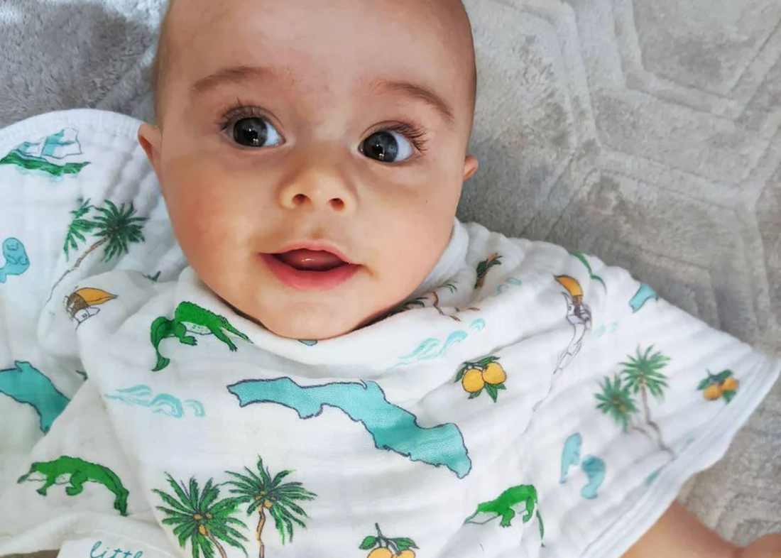 Top 10 Best Bib Brands in the USA for 2025