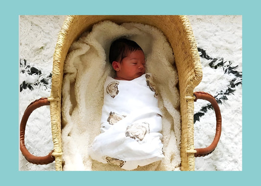 Winter Newborn Essentials Checklist