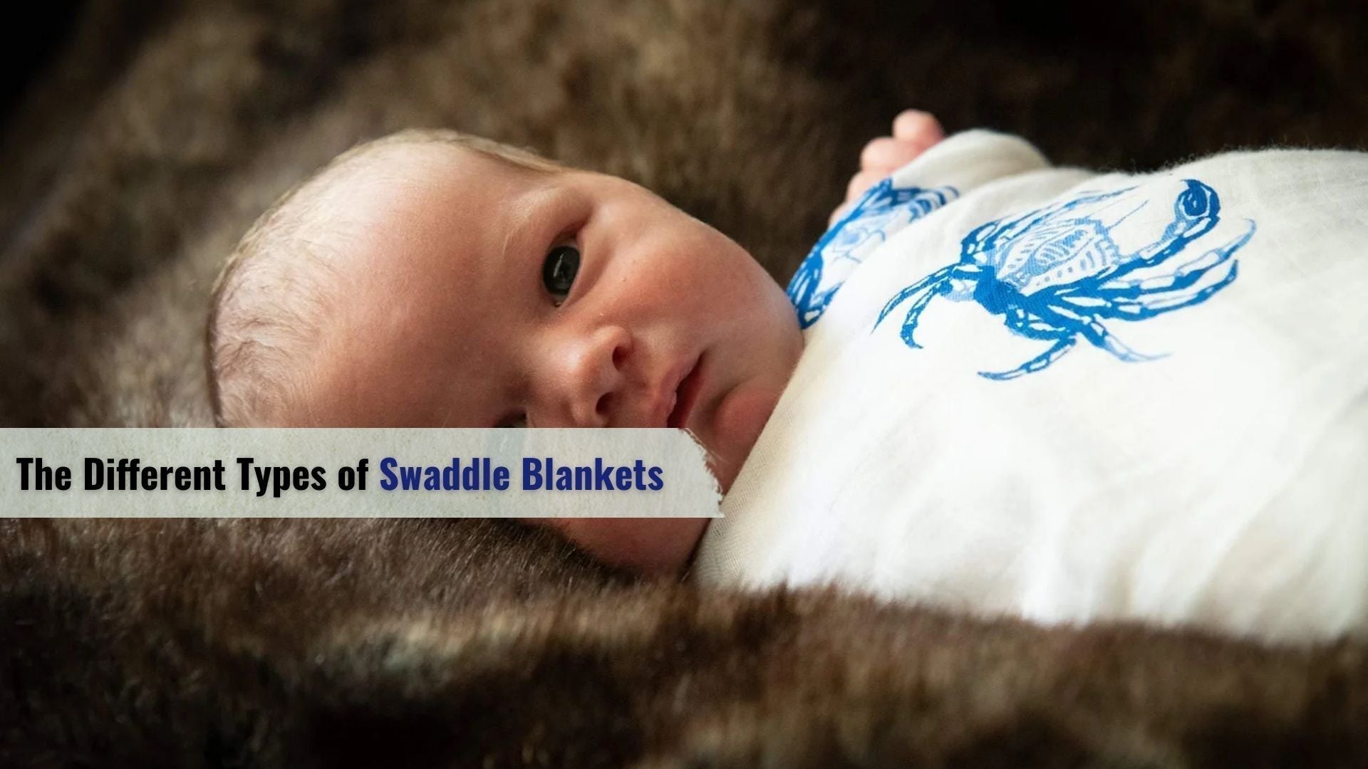 The Different Types of Swaddle Blankets – Little Hometown