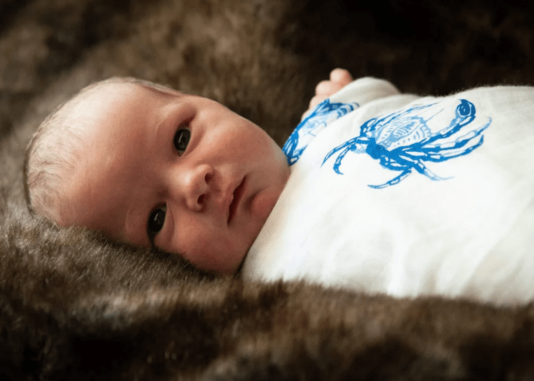 Top 10 Must-Have Baby Essentials for New Parents - Little Hometown