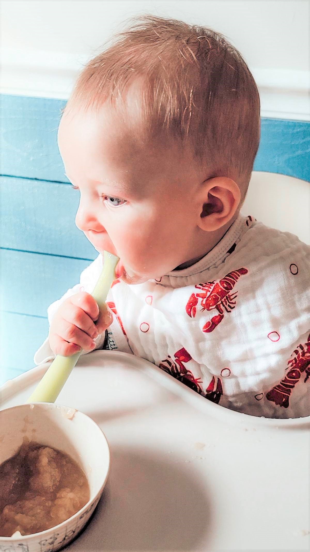 Heads Tails Crawfish Lobster Baby Burp Cloth and Bib 2 in 1  Everyday Feeding Essential