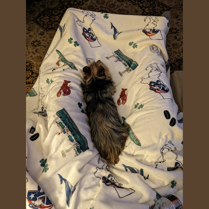 A small dog on a Massachusetts-themed plush throw blanket, 60x80 inches, featuring a lobsters, hockey pucks, shamrocks, Plymouth rock, a whale, a map of Massachusetts, and other iconic elements, vibrant colors.