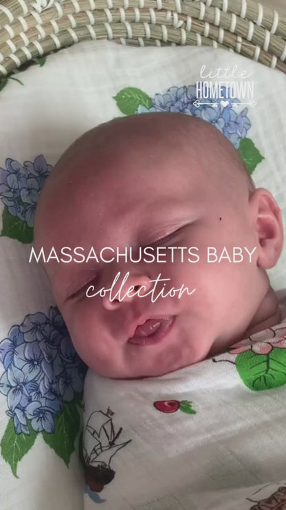 Massachusetts (Sweeter than Caroline) Gift Bundle