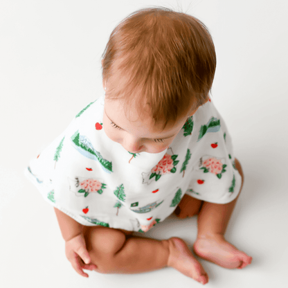 Baby bib and burp cloth set featuring Washington State map and icons, in soft pastel colors.