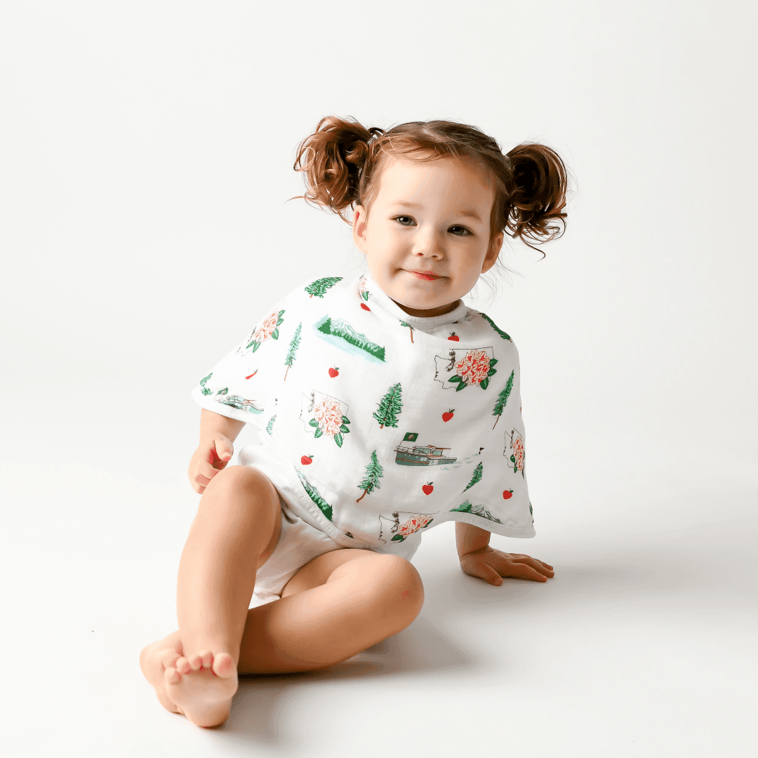 Baby bib and burp cloth set featuring Washington State map with landmarks, trees, and mountains in pastel colors.