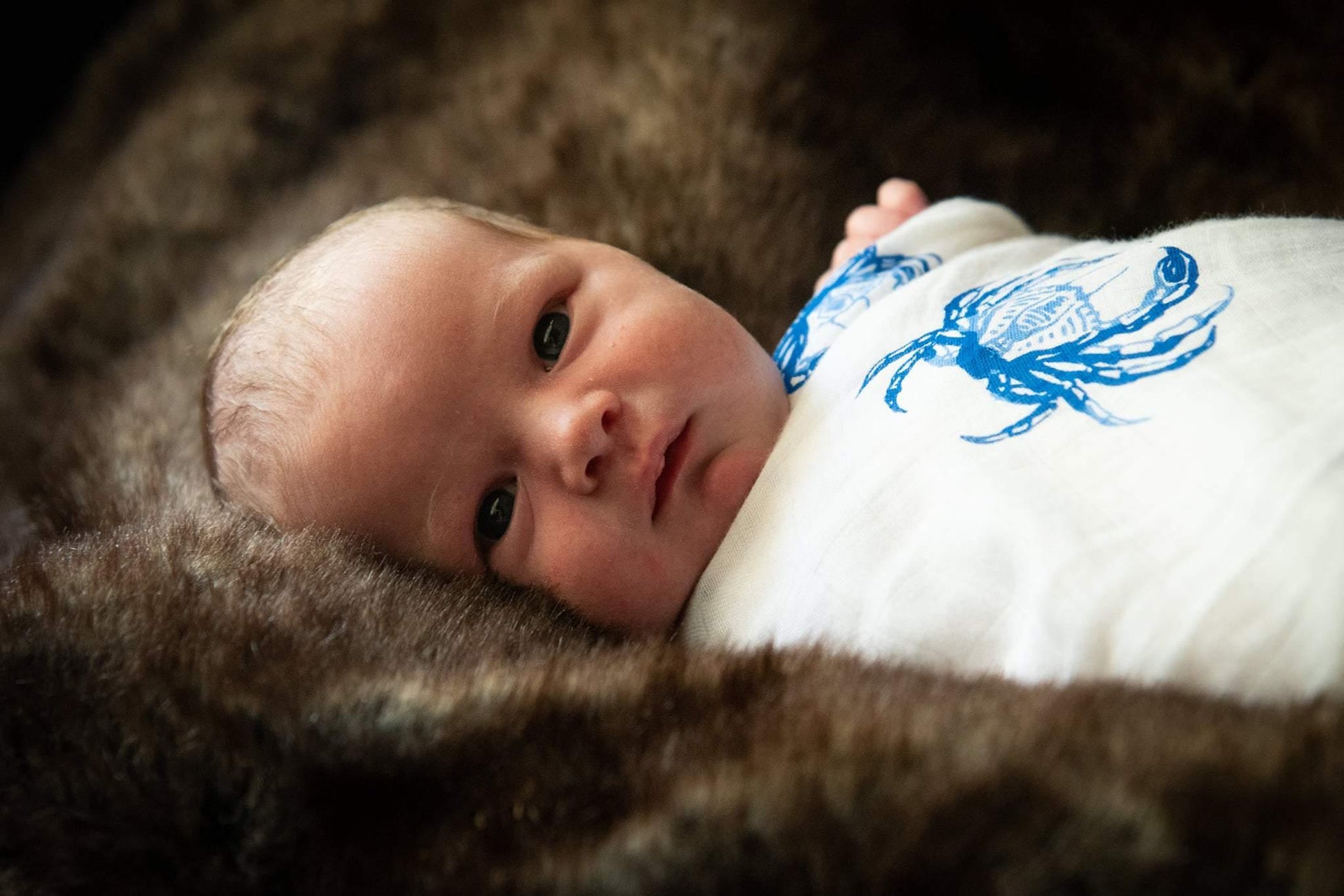 Blue crab-themed baby muslin swaddle blanket and burp cloth set, featuring playful crab illustrations on white fabric.